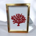Corail 13*19