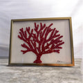 Corail 21*30